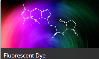 Fluorescent Dyes